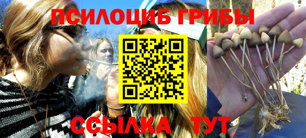 Галлюциногенные грибы Magic Shrooms Калининград