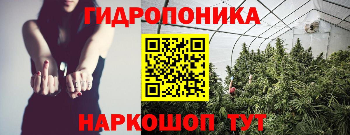 Каннабис LSD WEED  Конопля гибрид  Вход с VPN  Калининград  Конопля Bruce Banner 
